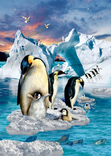 Puzzle adulte 1000 - puzzle,