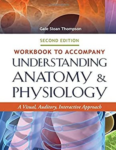 Workbook accompany - workbook,