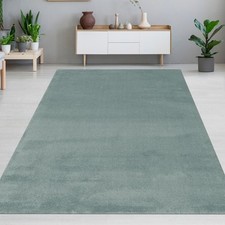 Tapis menthe moderne élégant