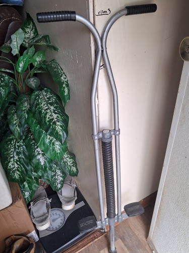 Vintage 1980 pogo - 1980's, stick