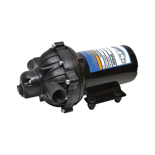 Everflo ef4000 12v diaphragme - 12v,