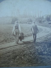 STEREO RETOUR A LA FERME Scene