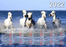 calendrier 2026 cheval