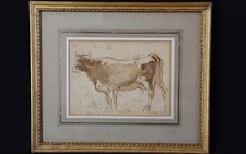 Lavis sur papier Vache Fin