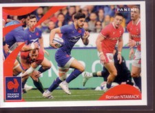 STICKER PANINI RUGBY RAGE DE