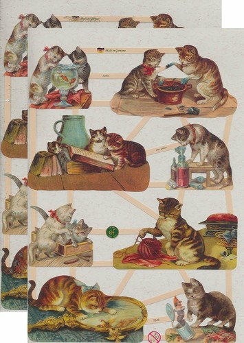 Chromo découpis chat 7340 - chromo,