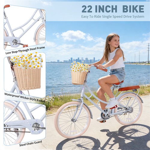 Inch beach cruiser - 22, for