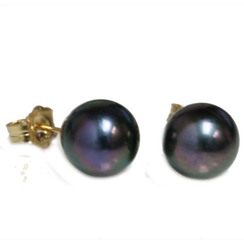 Akoya perle culture - akoya, boucles