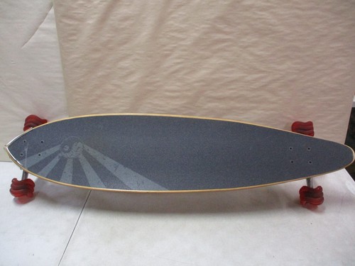 Shiver turaga pintail - shiver,