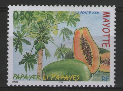 Mayotte 164 flore - mayotte:,