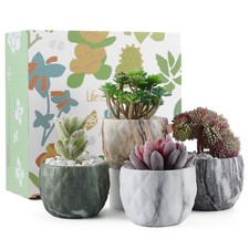 4pcs Mini Pots de Fleurs en