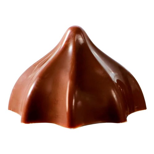 Moule praliné chocolat - moule,