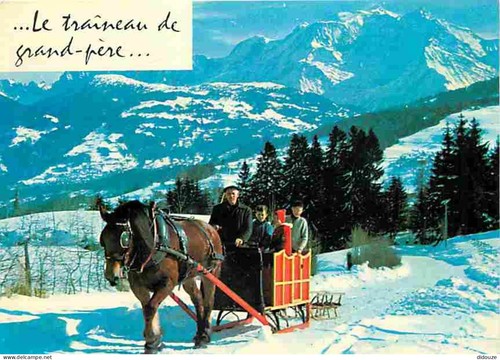 Carte postale animaux - -,