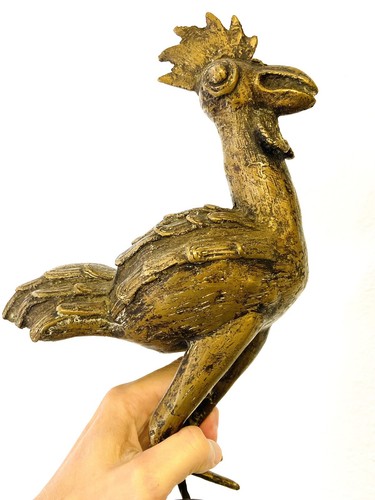 Coq bronze benin - en, du
