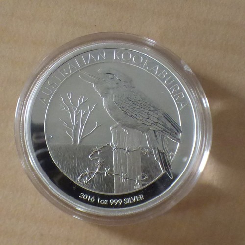 Australia kookaburra 2016 1 - australia,