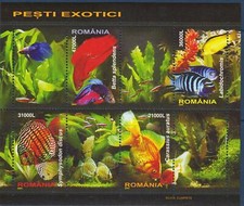 Roumanie 2005 Tropical Poisson Nature Poisson rouge Eau douce Discus