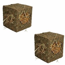 Deux petits animaux cochons d'Inde lapins brise-ennui cubes de foin moyen