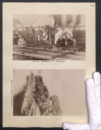 Photographies albemarle - 2,