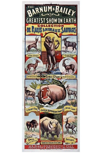 Cirque barnum bailey - cirque,