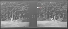 Enfant, forêt, Plaque verre photo stéréo, négatif noir & blanc 4,5x10,7 cm