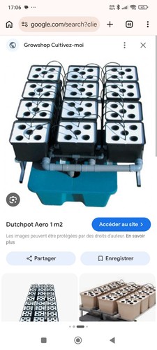 Culture hydroponique - culture,