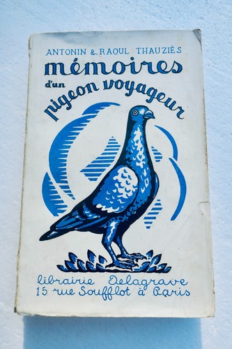 Mémoires pigeon voyageur - pigeon,