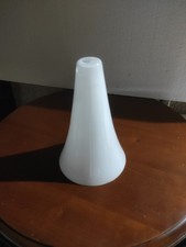 UNE GRANDE TULIPE OPALINE