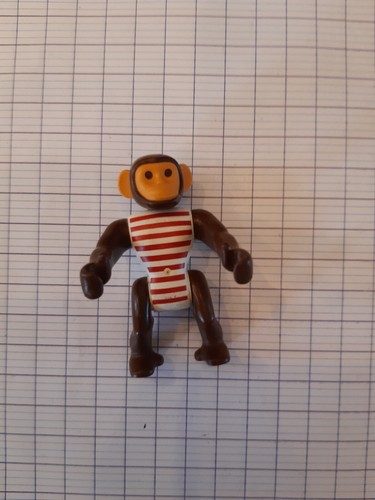 Petit singe savant du - savant,