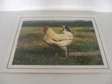 ANCIENNE PLANCHE AFFICHE