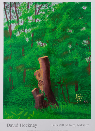 David hockney l - david, l'entrée