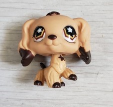 Rare Petshop chien epagneul