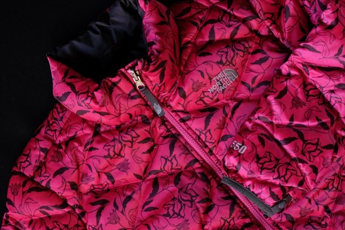 The north face 550 femme - face,