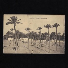 Cpa Tunisie / Djerba / Menzel à Mahboubine