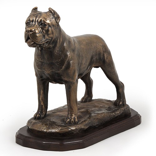 Cane corso exklusive - cane, serie