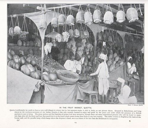 1897 victorien imprimé fruit - victorien, imprimé~