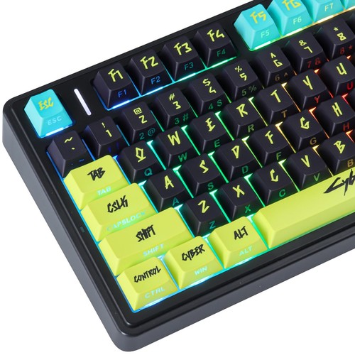 146 keys cyberpunk - keys, double