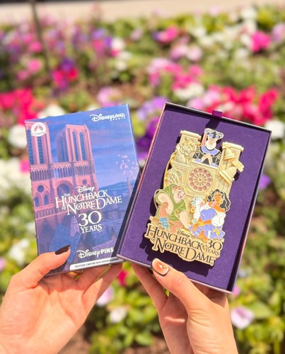 Jumbo pin notre dame - notre, de