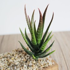 Plante aloès artificielle - plante,