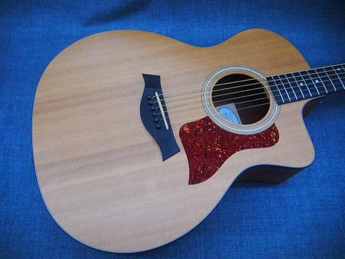 Guitare électrique acoustique