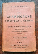B2- Les champignons