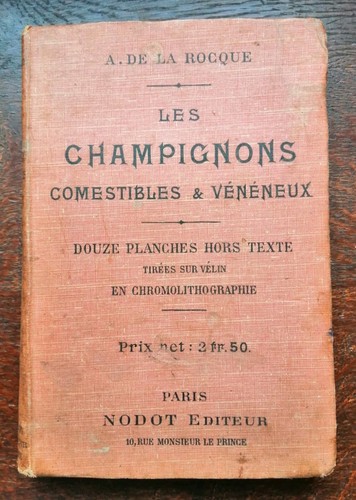 Les champignons - b2-,
