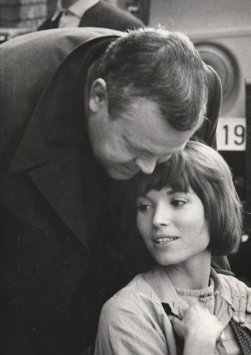 Willy rizzo orson - willy,