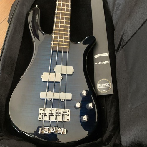 Warwick custom masterbuild - custom,