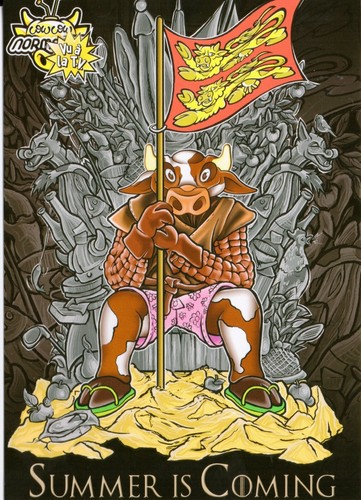 Cow normandie - cow,