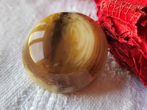Ancien bouton imitation corne