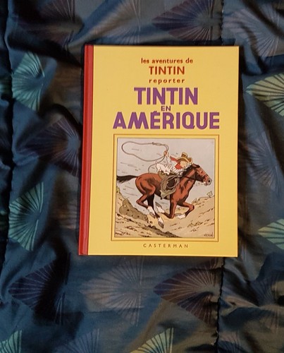 Tintin amérique 2010 - tintin,
