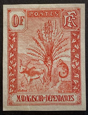 Madagascar Zébu Ravenala -