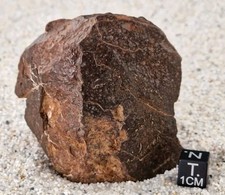 Meteorite NWA 18134 Chondrite