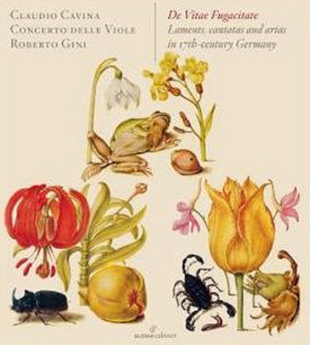 Various compose vitae - de,