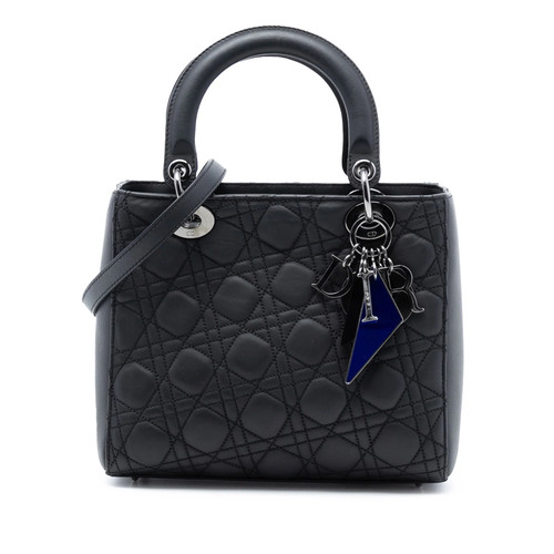 Dior anselm reyle medium - dior,